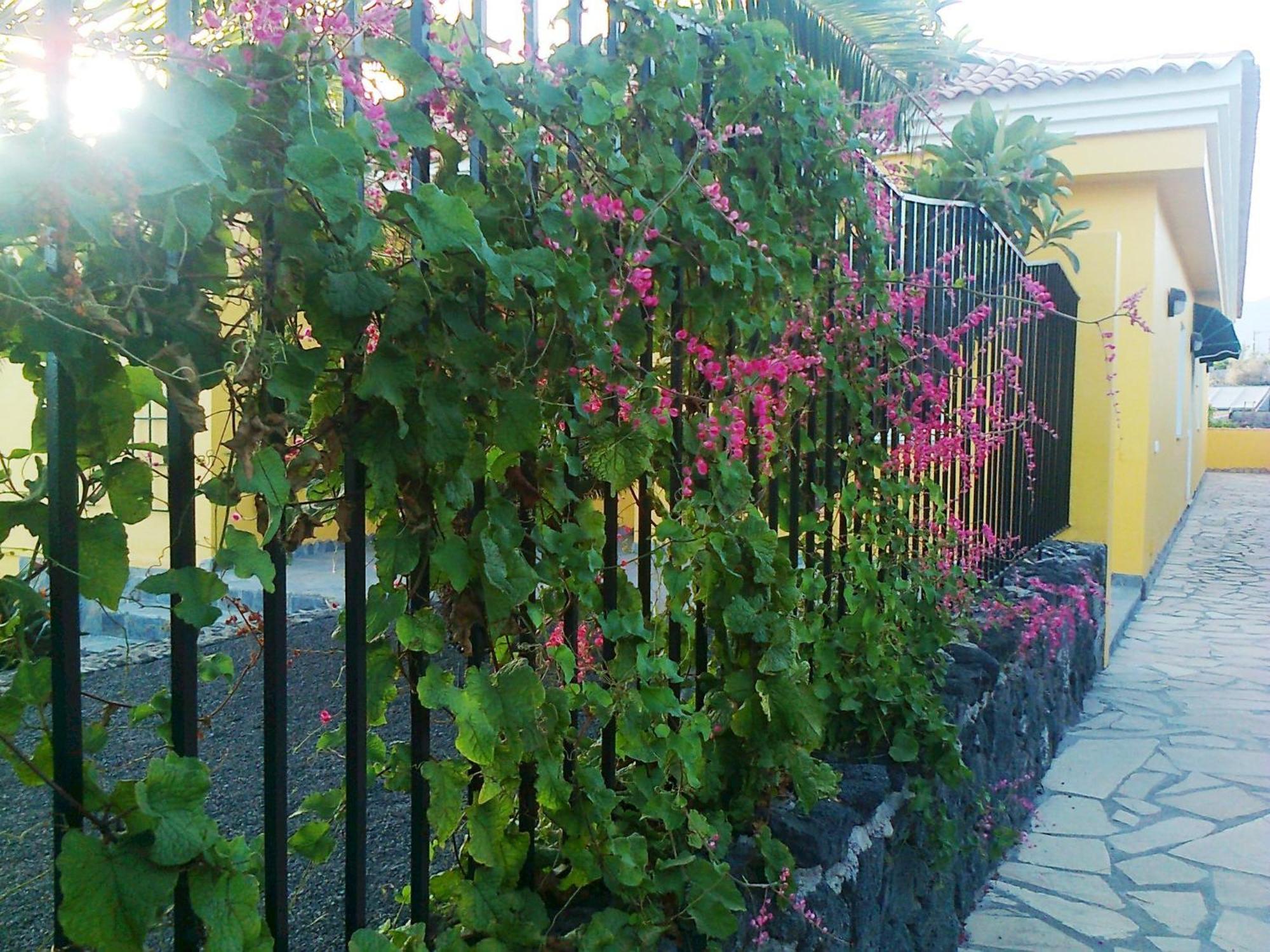 Vv Complejo Vacacional Villamaria Los Llanos De Aridane Exterior foto