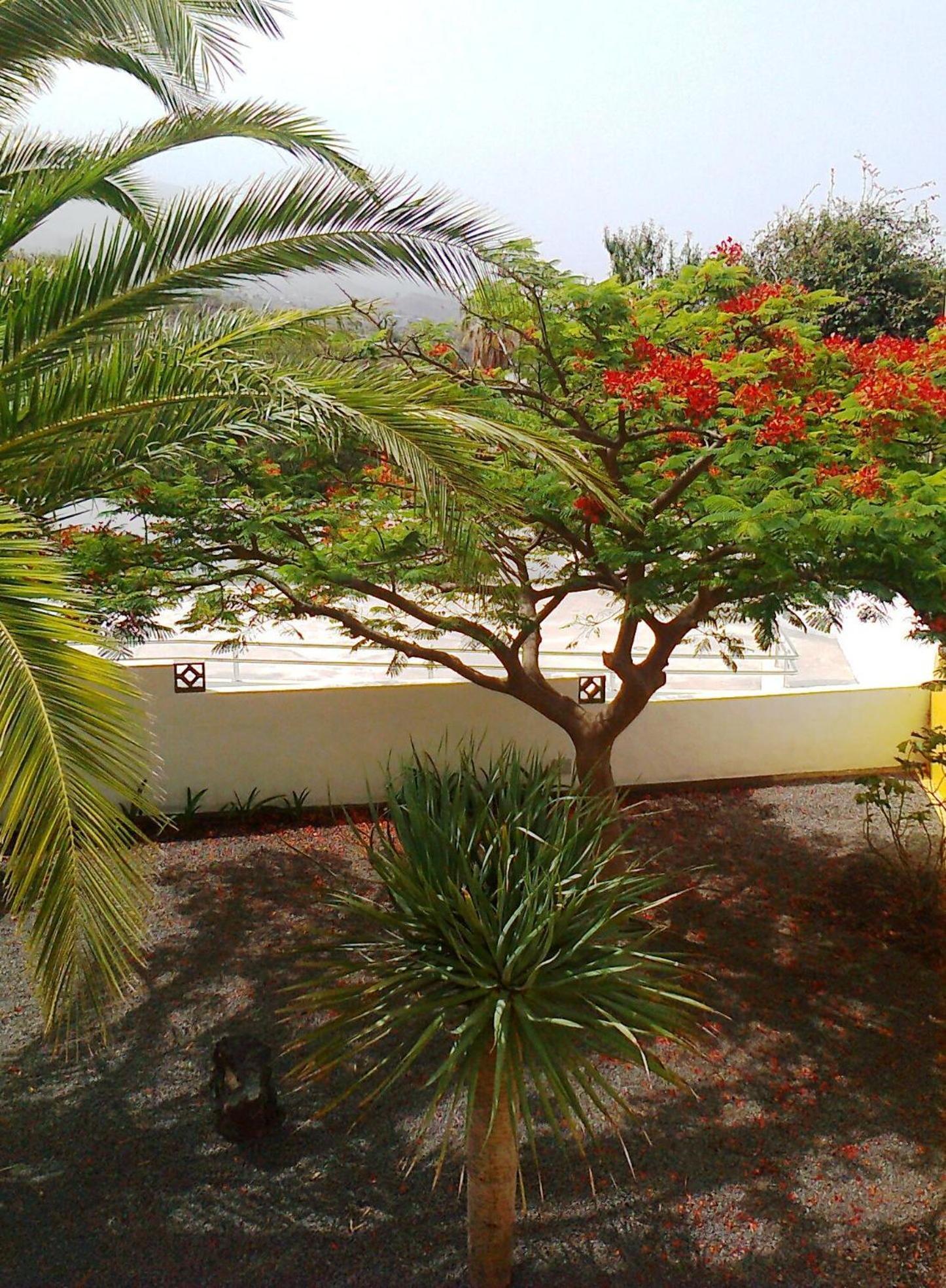 Vv Complejo Vacacional Villamaria Los Llanos De Aridane Exterior foto