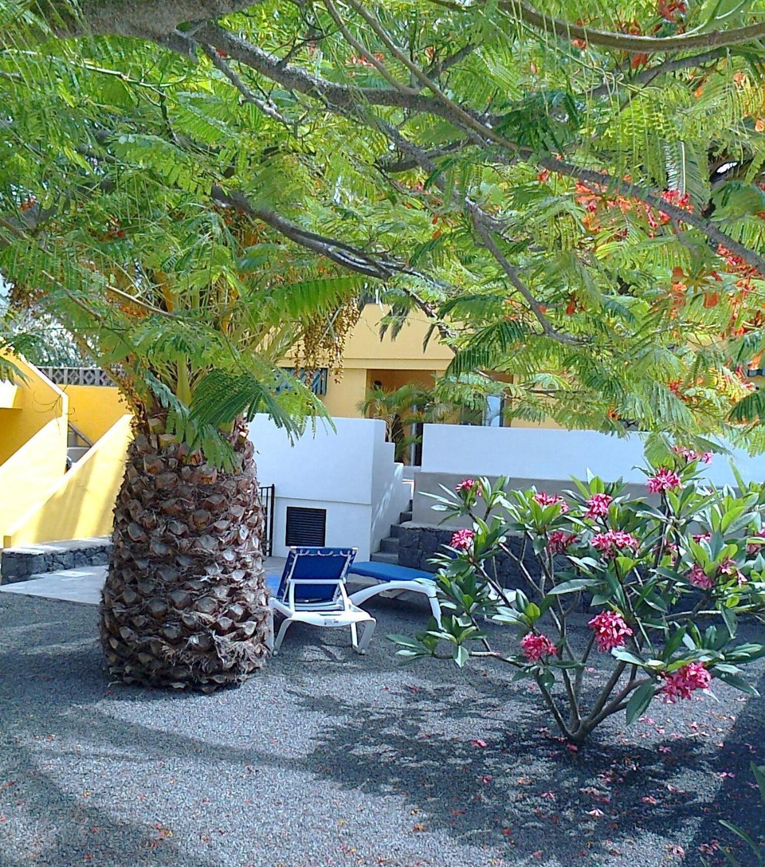 Vv Complejo Vacacional Villamaria Los Llanos De Aridane Exterior foto