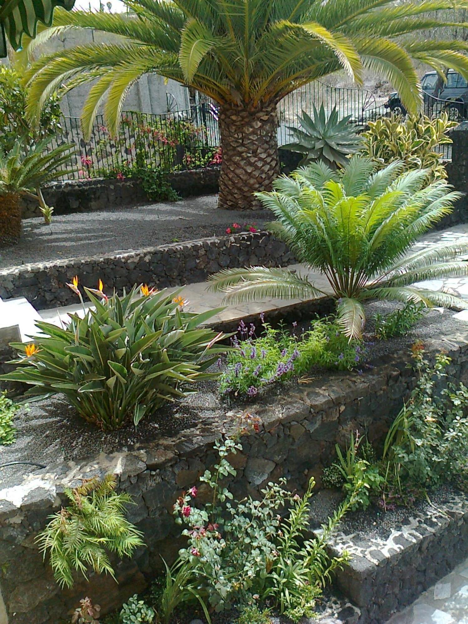 Vv Complejo Vacacional Villamaria Los Llanos De Aridane Exterior foto